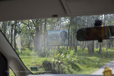 On Route to Ooty_DSC5223_H600